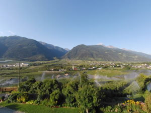 Langstein in Goldrain